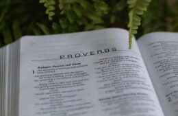 Daily Devotion