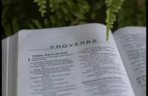 The daily devotion shows an open Bible to Proverbs.