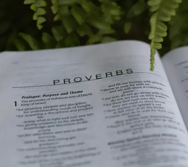 The daily devotion shows an open Bible to Proverbs.