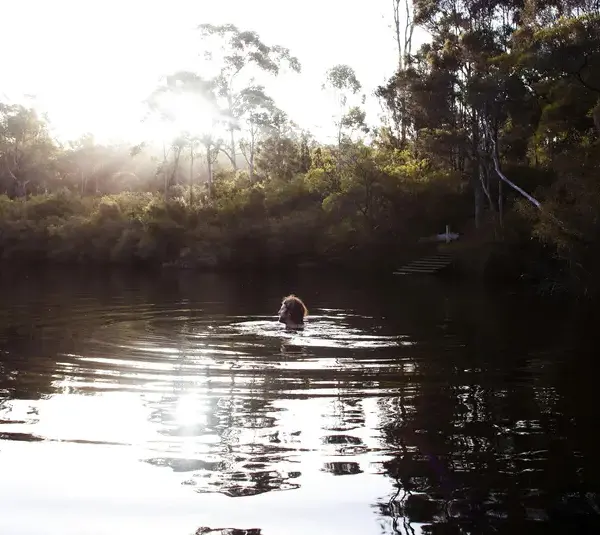 Forest Bathing Benefits Backed by Science