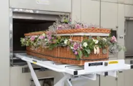 Coffin. They needed a lot of those in Egypt according to the book of Exodus