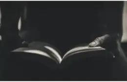 Post-Apocalyptic Novels - creepy reading