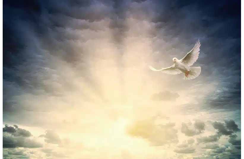 A white dove soars elegantly against a dramatic sky, illuminated by radiant sunbeams breaking through dark clouds, conveying peace and hope.