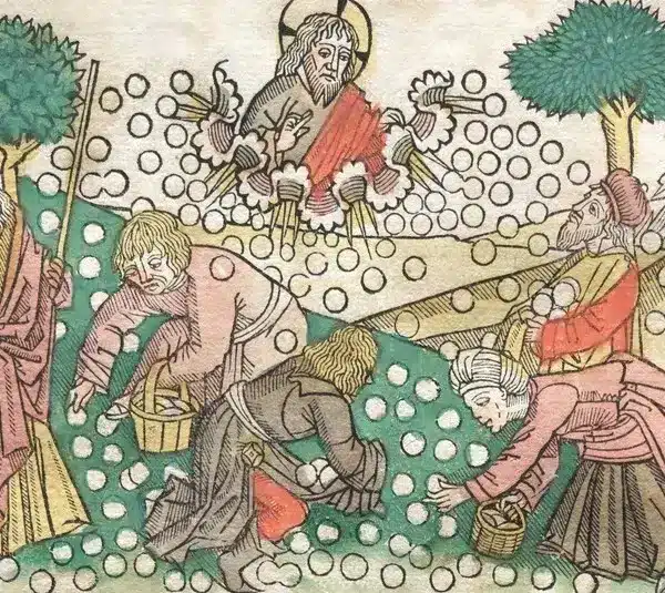 Exodus tells of Manna from heaven