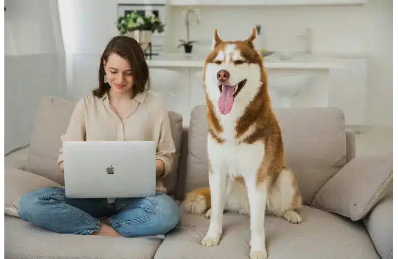 A Woman and a Dog on a Couch