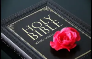In daily devotion, a rose is placed on a kJV Bible.