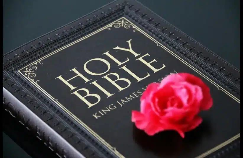 In daily devotion, a rose is placed on a kJV Bible.