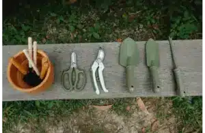 Some of the gardening tools placed in a garden