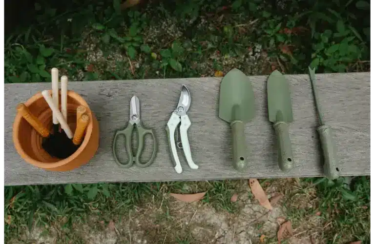 Some of the gardening tools placed in a garden