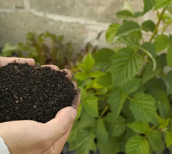 Ultimate Guide: How to Supercharge Your Soil for Early Spring Planting