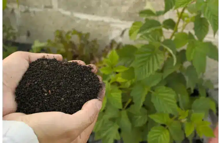 fetrilizers for soil and plants