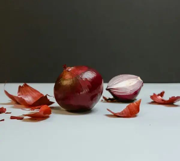 Sets or Seeds? How to Start Onions the Right Way