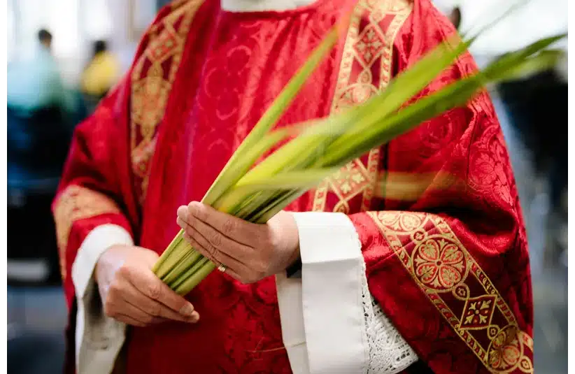 A person in an ornate red robe holds palm leaves, symbolizing a religious ceremony. The intricate gold patterns and solemn atmosphere suggest a formal event, priest, Palm Sunday, Catholic, Christian, Church, Lent