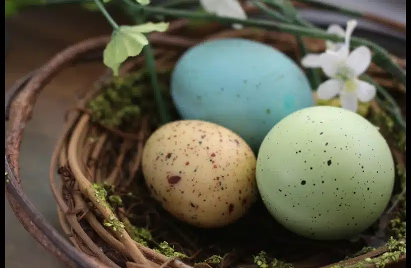 A nest holds three speckled eggs in blue, beige, and green, surrounded by delicate twigs and white flowers, evoking a serene, springtime atmosphere.