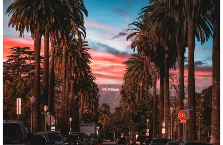 For today's daily Drop, we have a beautiful setting of palm trees and a sunset with the Hollywood sign in the background