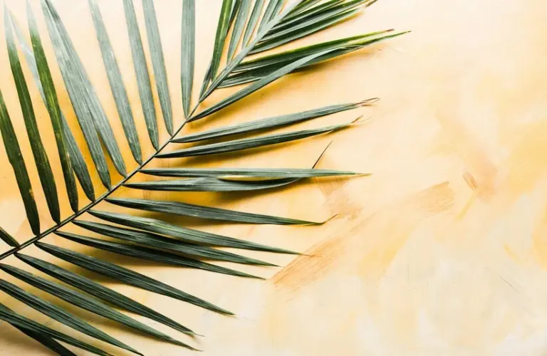 Palm leaf on a orange marbled background, Palm Sunday