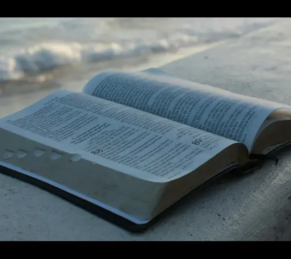 In daily devotion, a bible is open by a body of water.