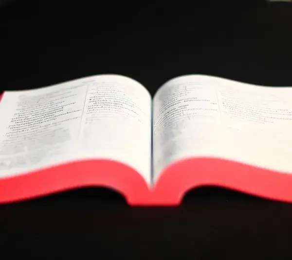 In daily devotion, a bible with red page tips sits on a black background.