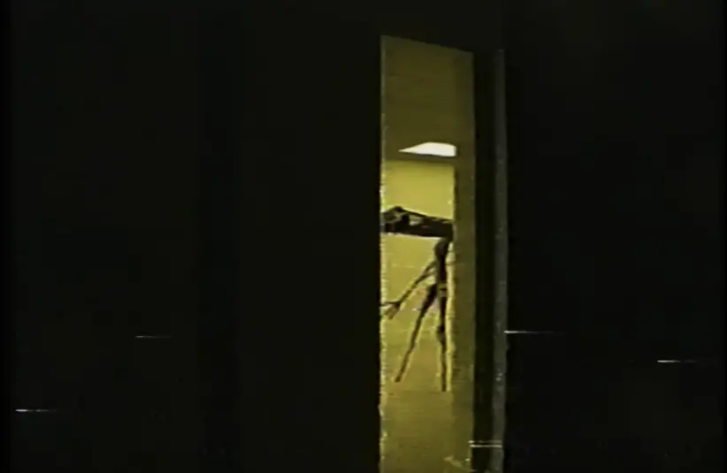 Backrooms (Found Footage) short film has an entity made of thinly black shimmering links