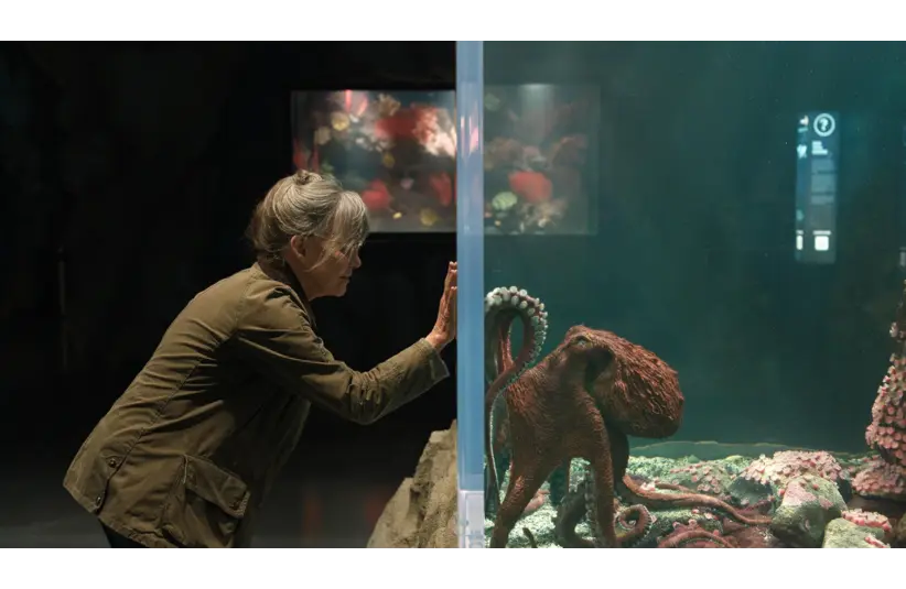 Sally Field in "Remarkably Bright Creatures" (2026). Photo by Courtesy of Netflix - © 2026 Netflix, Inc.