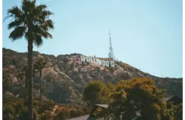 The iconic Hollywood sign on a sunlit hillside with clear blue sky. Tall palm trees and lush greenery frame the foreground, conveying a relaxed California vibe. Buyout.