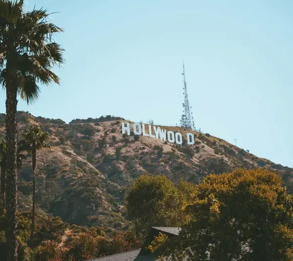 The iconic Hollywood sign on a sunlit hillside with clear blue sky. Tall palm trees and lush greenery frame the foreground, conveying a relaxed California vibe. Buyout. Brooke Shields