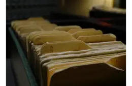 different kind of seed catalogs arranged in a box