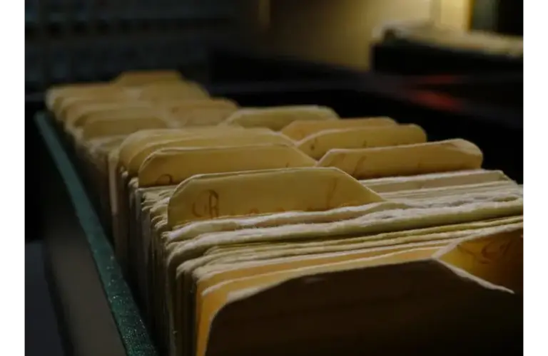 different kind of seed catalogs arranged in a box