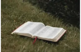 In daily devotional, an open Bible lies in a grassy field.