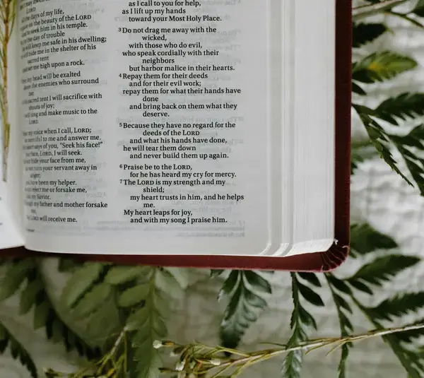 In daily devotional, an open Bible sits on branchces form a vine.