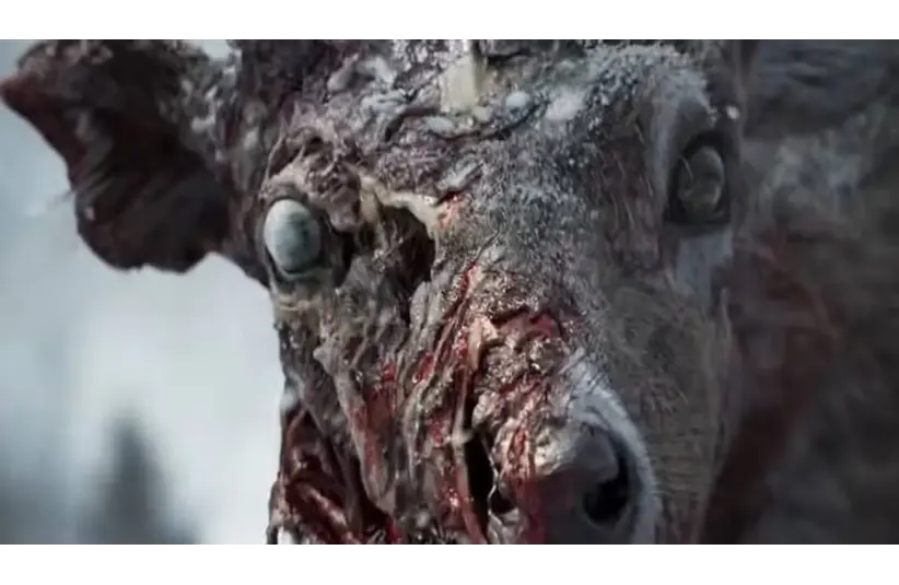 Zombie-like deer in State of Decay 3 concept trailer with decaying, bloodied face and lifeless eyes, set against a blurred, cold background. The image evokes a disturbing, eerie mood.