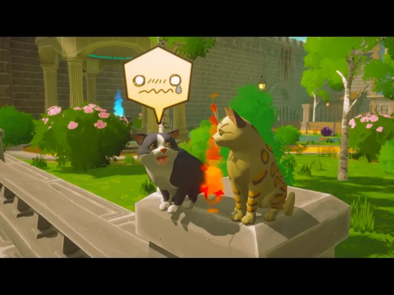 Image from Pawbay