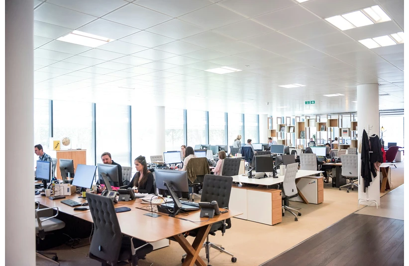 Bright, open-plan office with people working at desks. Large windows let in natural light. Modern feel with computers and minimal decor.