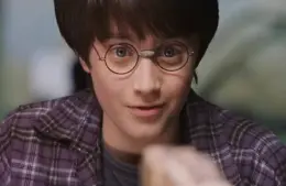 Screenshot of Harry Potter, played by Daniel Radcliffe, speaking to the snake at the zoo in Harry Potter and the Philosophers Stone