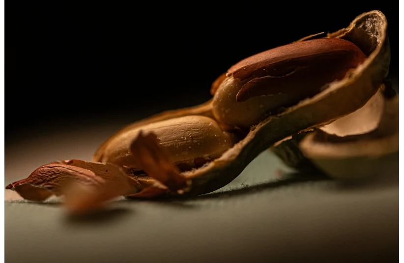 Close-up of a peanut in its shell on a dark background. The shell is partially open, revealing two peanuts with rich textures and warm lighting.