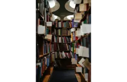 Library of books, including YA novels.