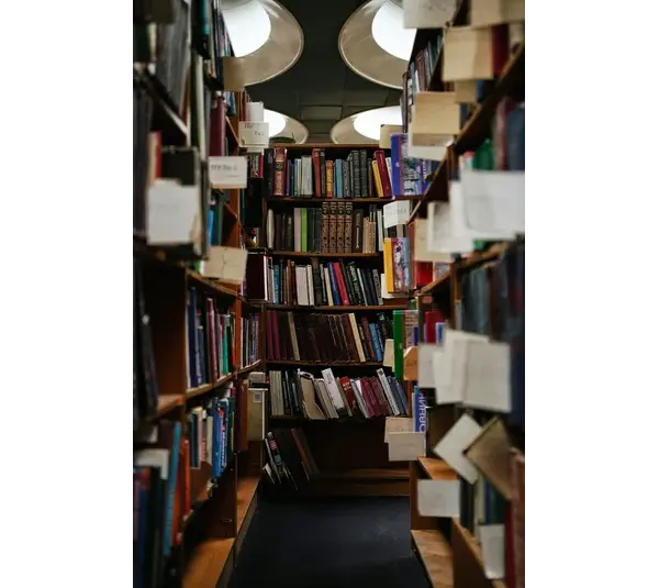 Library of books, including YA novels.