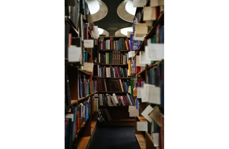 Library of books, including YA novels.