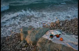 In daily devotional, a Bible is near the seaside along with other items indicatng relaxation and study.