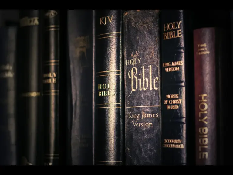 In daily devotional, a row of Bibles are shown on a bookshelf indicating the availability of God's word.