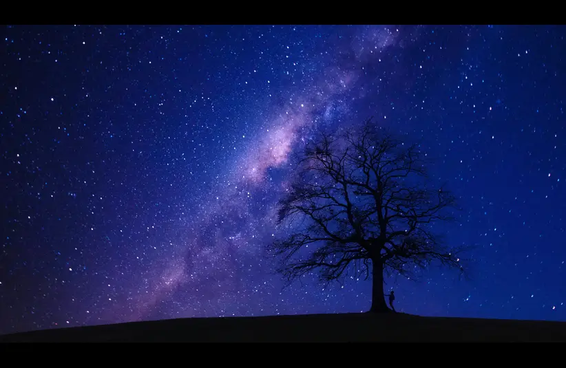 In this daily devotional, a starry night and tree are seen in the background. God made a covenant with Abraham that his descendants would be  numerous like the stars. 