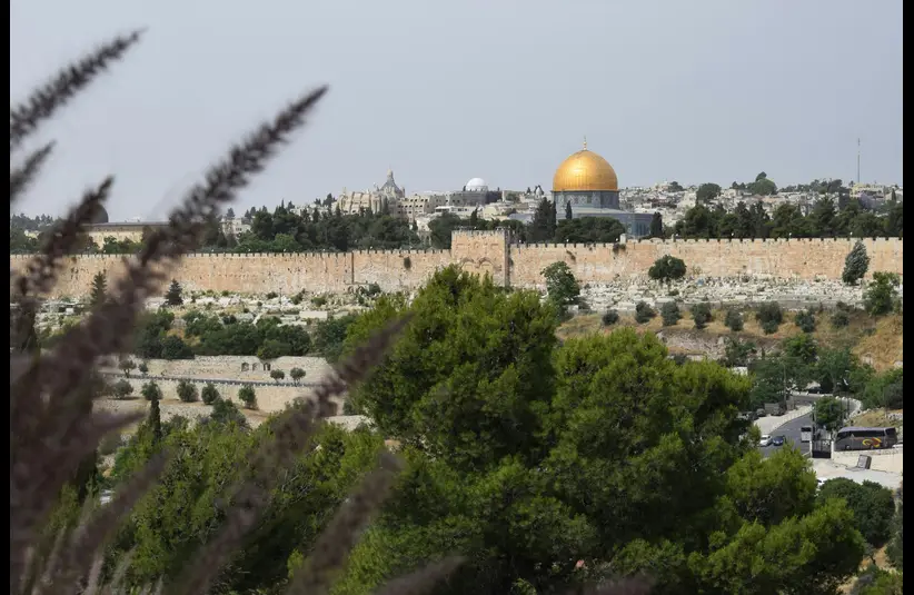 In this daily devotional, the city of Jerusalem is pictured in the background. 