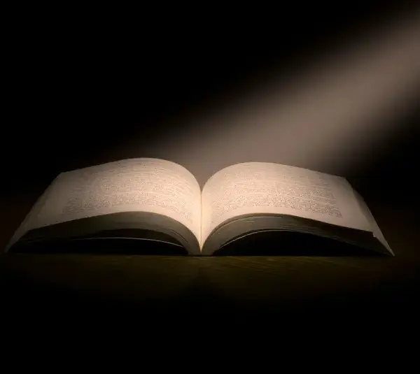 In daily devotional, a Bible is shown with light shining down on it.