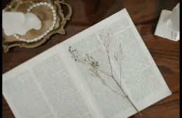 In daily devotional, an open Bible with a branch inside and a string of pearls on the side in a tray.