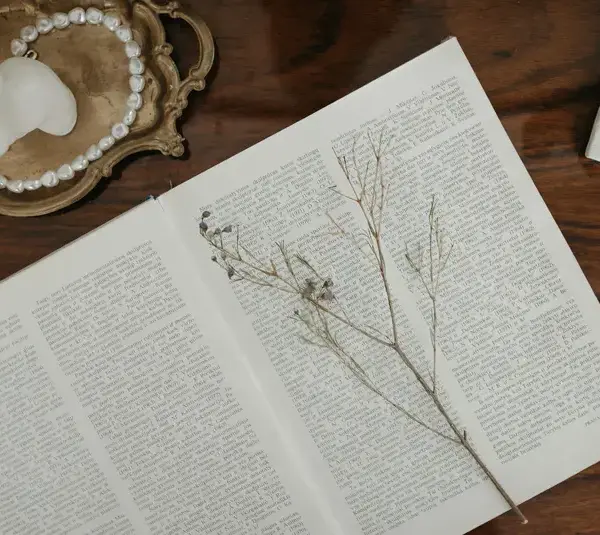 In daily devotional, an open Bible with a branch inside and a string of pearls on the side in a tray.