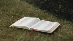In daily devotional, an open Bible is sits in a grassy field.