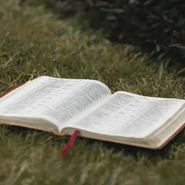 In daily devotional, an open Bible is sits in a grassy field.