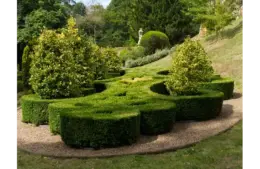 beautifully designed topiary of one of natural gardens with lush greenery and artistic shrub formations