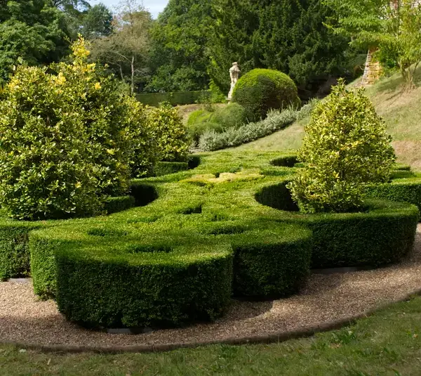 beautifully designed topiary of one of natural gardens with lush greenery and artistic shrub formations
