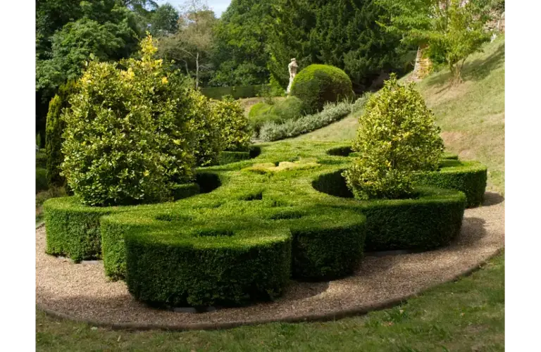 beautifully designed topiary of one of natural gardens with lush greenery and artistic shrub formations